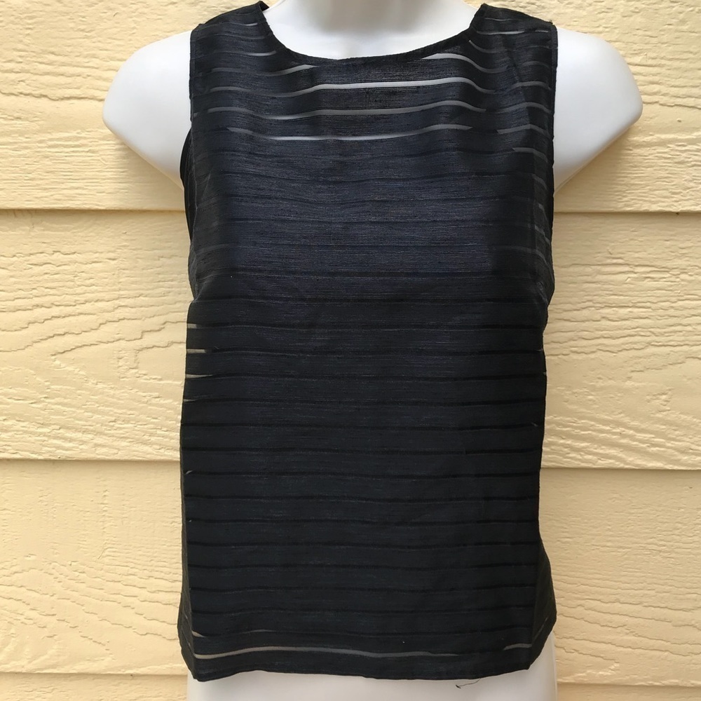 Banana Republic Black Sheer Top